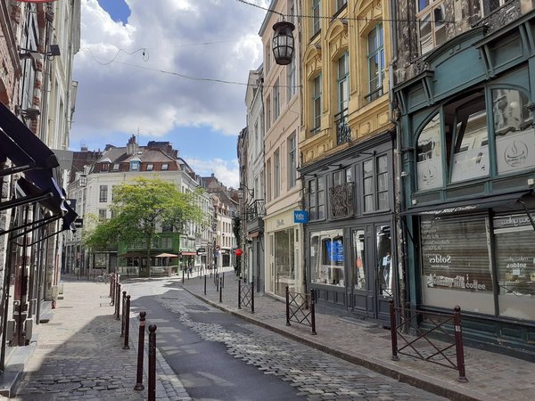 Quels sont les avantages et les inconvénients d'acheter une maison avec une agence immobilière à Lille Centre ?